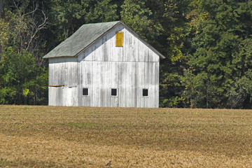 counrty barn