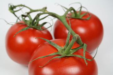 Tomate