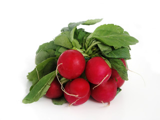 bundle of red radish isolated on white background