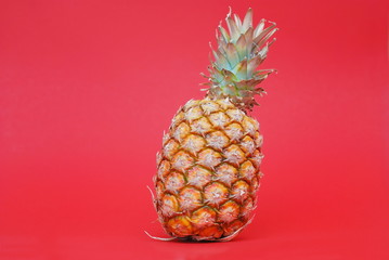 ananas on red background