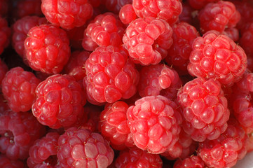 raspberries