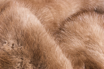 Closeup of a mink fur.  Delicately patterned and luxurious.