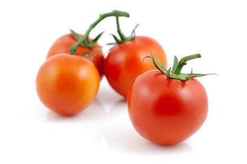 Fresh red tomatoes in isolated white background