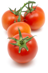 Fresh red tomatoes