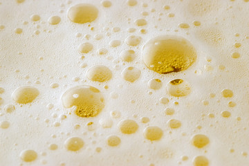 Beer Froth