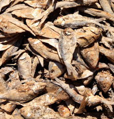 Pile of dried fish on a Typical Market 