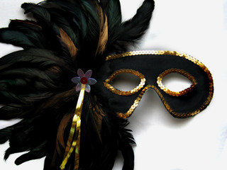 Mardi Gras Mask © Jennifer Elizabeth