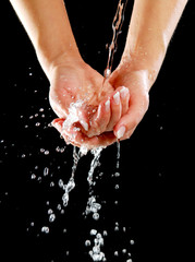 Fototapeta premium Cleaning - elegance woman hand on black.