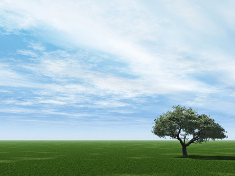 Alone tree and beautiful sky with clouds  - 3d landscape scene.