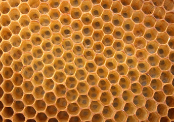 honey texture