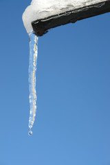 Large icicle formed at end of roof gutter