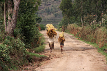 Malagsy people carrying loads of straw on their heads