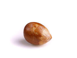 pit of avocado isolated on white background
