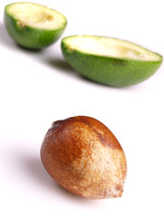 avocado isolated on white background