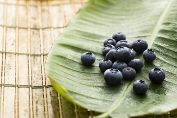 Berries on leaf.