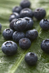 Berry fruits.