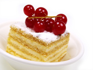 bisquit frucht creme schnitte