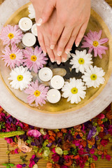 Obraz na płótnie Canvas Woman's manicured hands with daisies