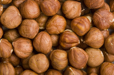 Hazelnuts Texture