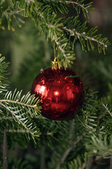 Weihnachtsschmuck am Baum hängend