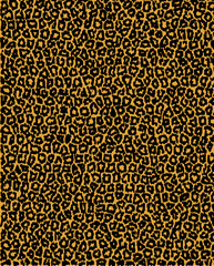 Skin of jaguar vector