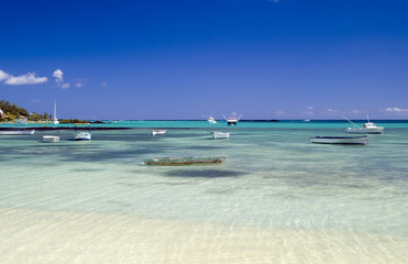Fototapeta premium Tropique ile maurice