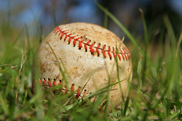 Old Baseball in the Grass