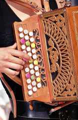 la musicienne et son arcodéon