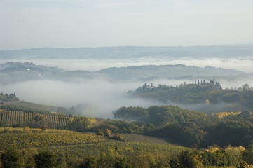 Les vignes du Chianti en Toscane