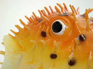 Plastikkugelfisch1