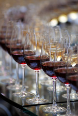 the Glasses of red and white wine on the table