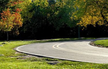 Scenic road through woods in Michigan's state park