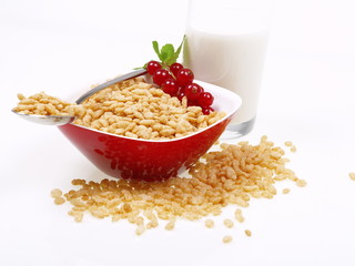 popreis frühstück mit milch