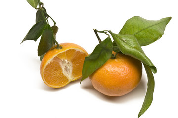 Mandarine Draufsicht 1