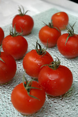 tomato appetizer