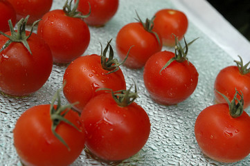 tomato appetizer