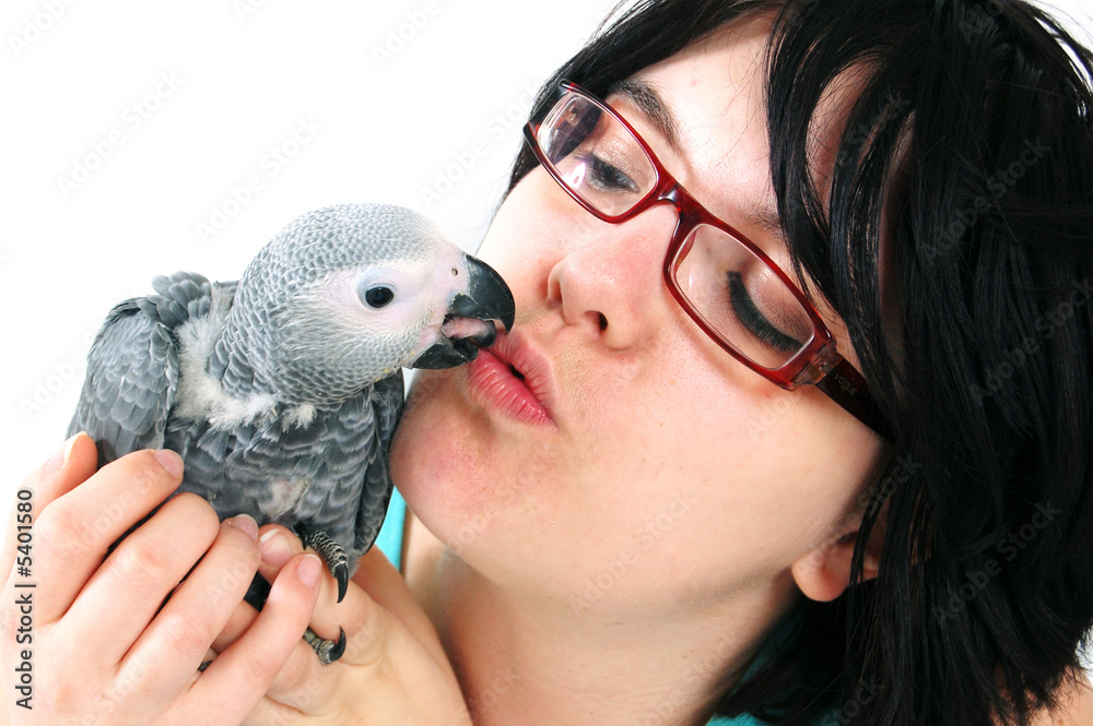 Wall mural red tale parrot isolated on white kissing with female