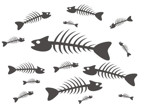 black and white fish skeletons on white background