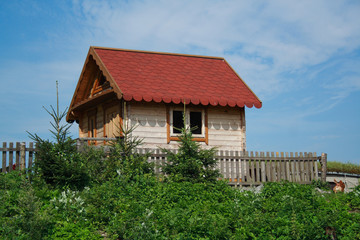 Fototapeta na wymiar small house
