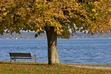 Bank am See