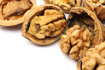 Walnut close-up