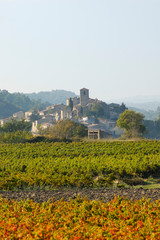 Fototapeta na wymiar Village of Aragon, Aude