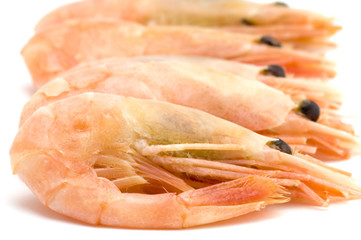 object on white - seafood - shrimp