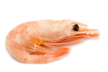 object on white - seafood - shrimp