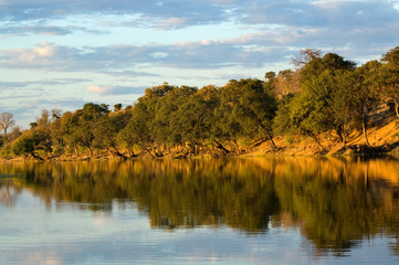 Botswana river