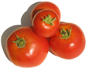 Tomate