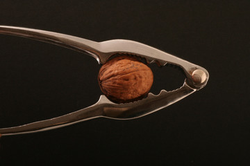 Nut