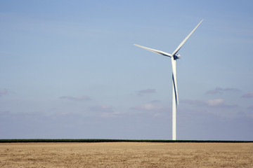 Energie renouvelable - &eacute;olienne dans les champs de c&eacute;r&eacute;ales