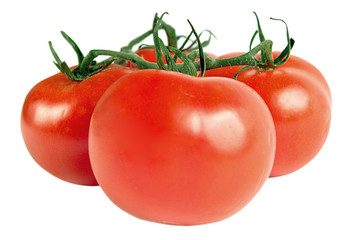 Juicy red tomatoes isolated on white background