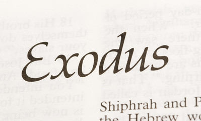 Exodus - obrazy, fototapety, plakaty
